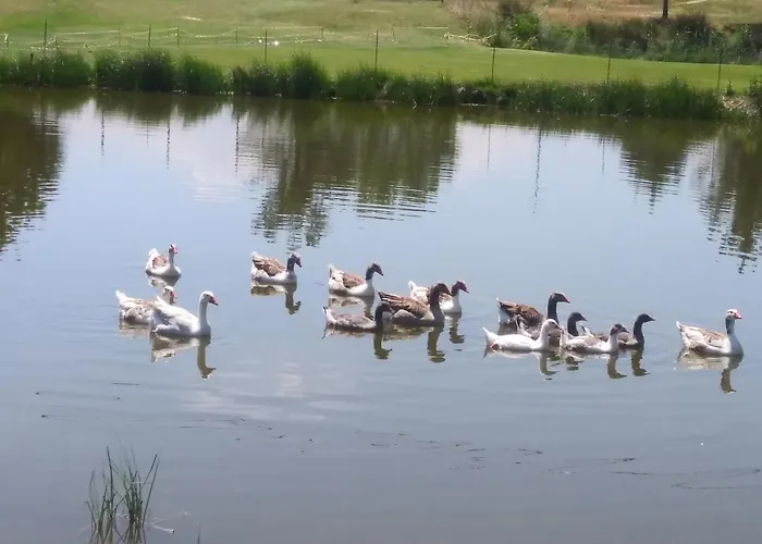 Los Tréboles Bocigas, España