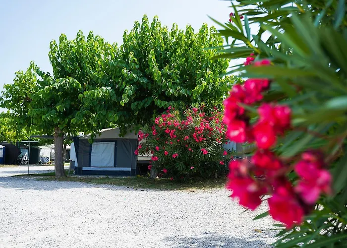 Vila Village