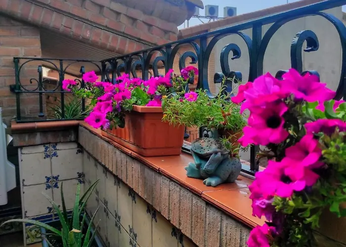 Hostal la Cepa Aldeanueva de Ebro, España