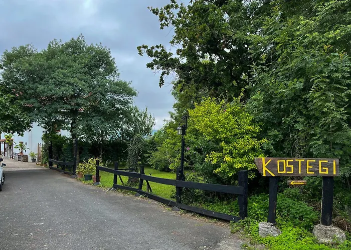 Kostegi