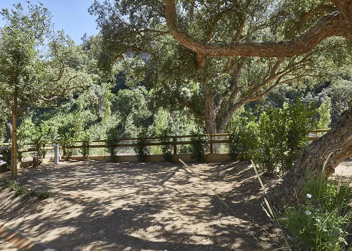 Pola Giverola Camp