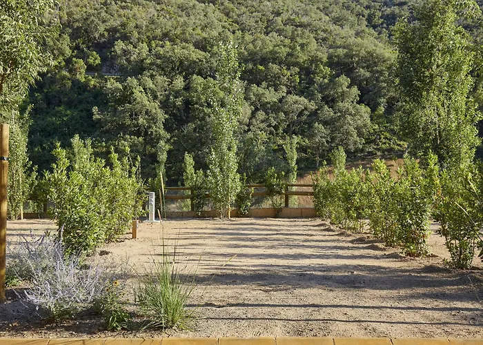 Pola Giverola Camp
