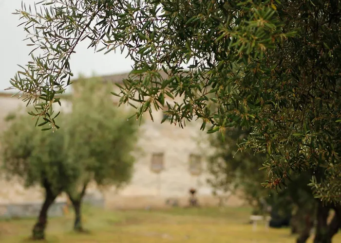 Camping Rural La Masia