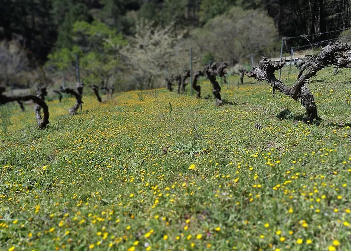 Río Mundo Alojamiento Rural