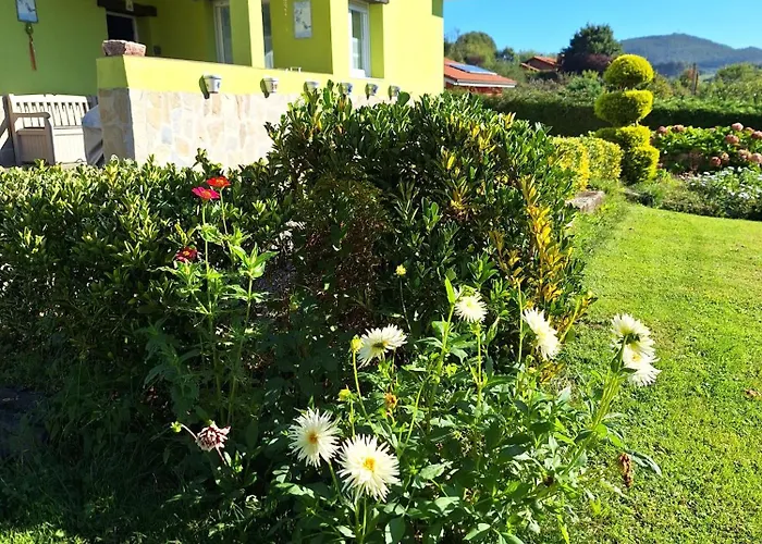 Casina verde manzana
