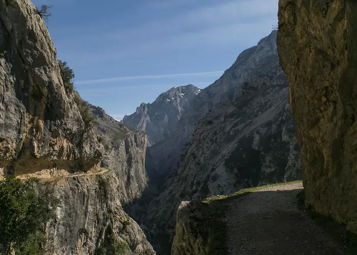 Naranjo De Bulnes