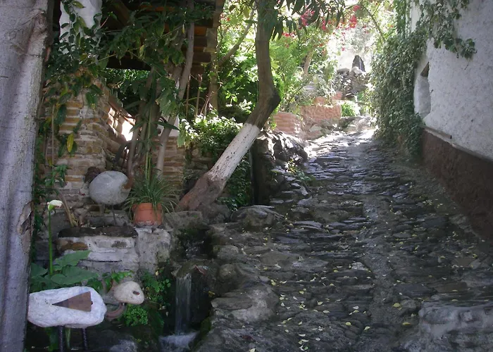 Rural El Brazal