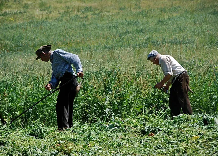 Turisme Rural Lo Pallé de Cal Bosch