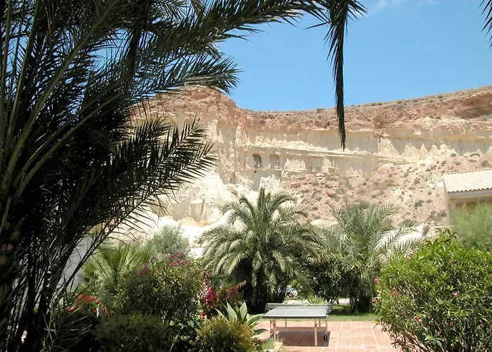 Oasis De Las Palmeras
