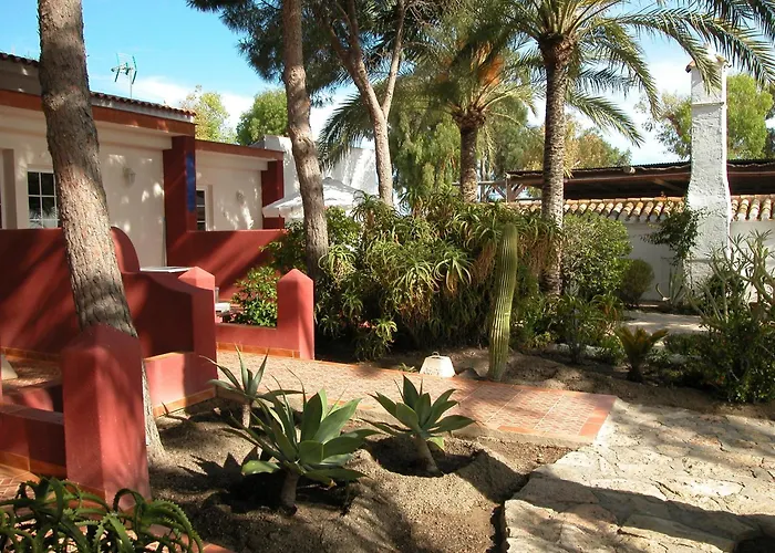 Oasis De Las Palmeras