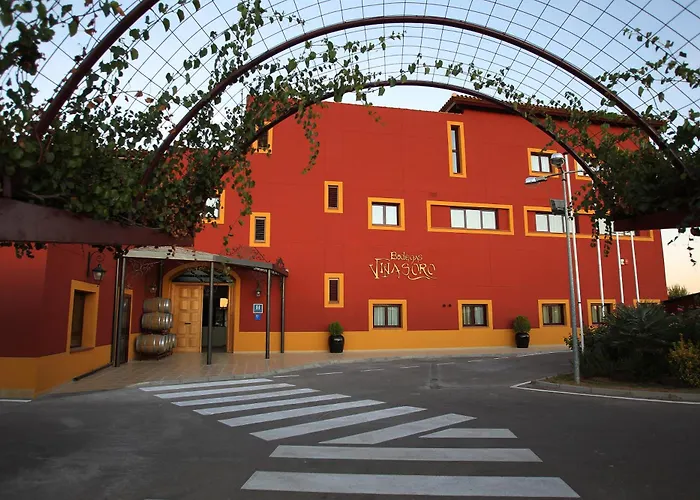 Château Viñasoro