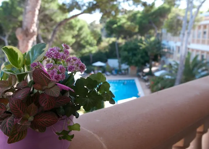 Hotel Cala Gat Cala Ratjada , España