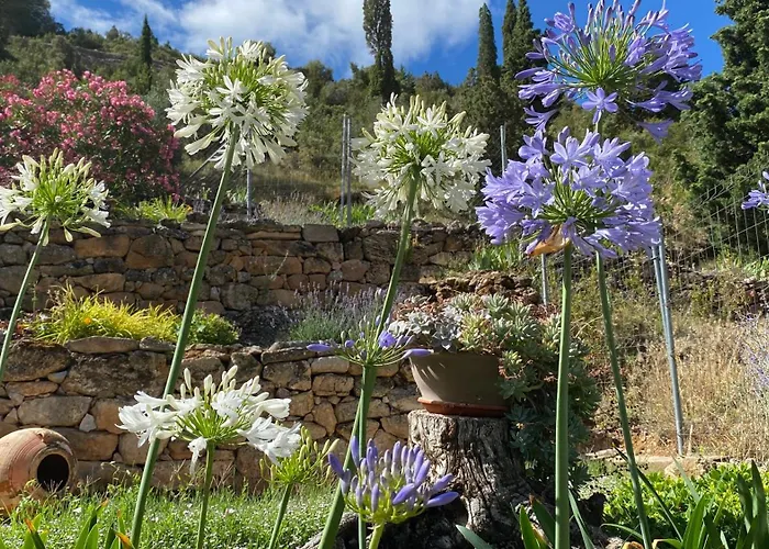 Casa Lola
