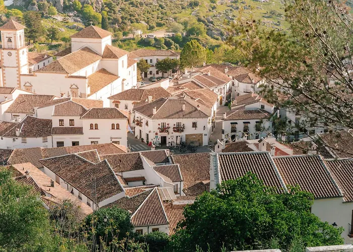 Tajorodillo