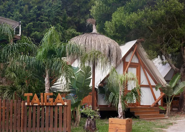 Taiga Punta Paloma