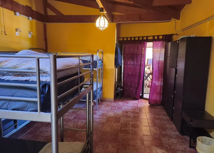 Los Amigos Nest