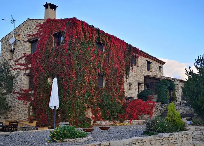 Mas De L'Arlequi