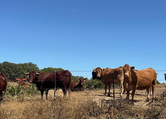 Finca la Vina Vejer de la Frontera, España