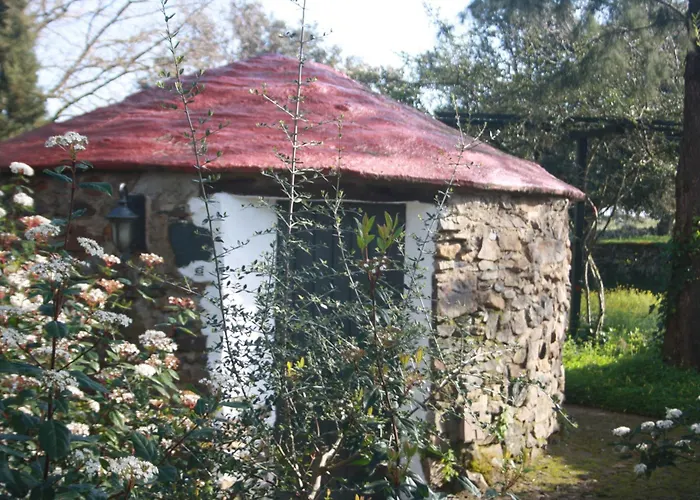 Cabanas De Buffalos