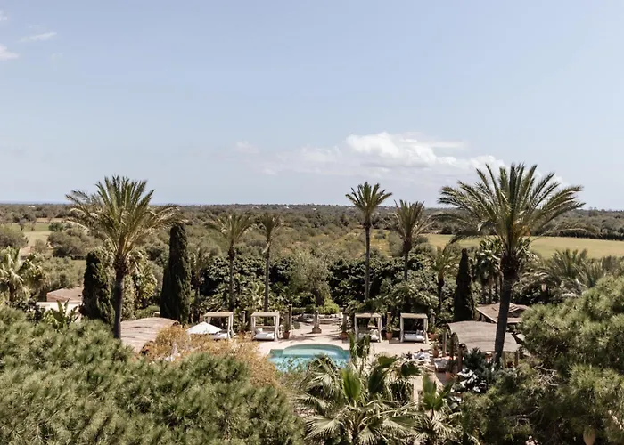 Cal Reiet Holistic Retreat