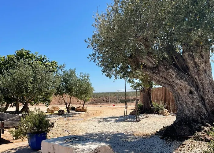 La Casa Del Olivo