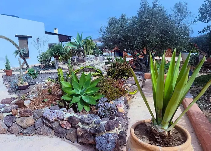 Olivares Rural Los Albaricoques, España