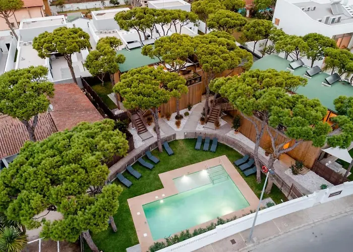 Nuevos Apartamentos Biopasivos Living Pura Madera