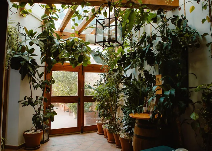 Hostal La Casona de Mahora, España
