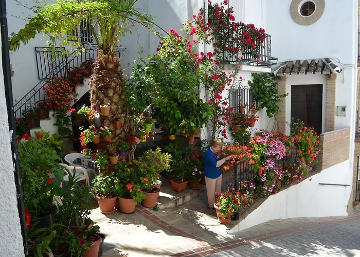 Finca El Molino De Aceite Jubrique, España