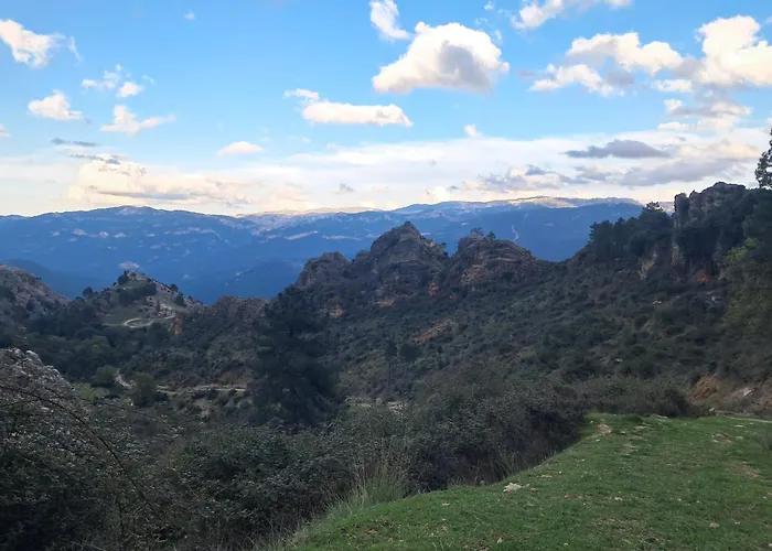El Madroñal