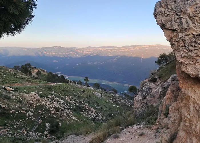 El Madroñal