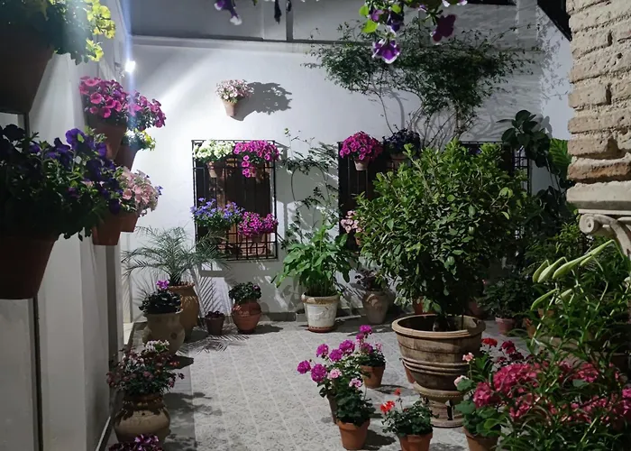 El patio de Regina