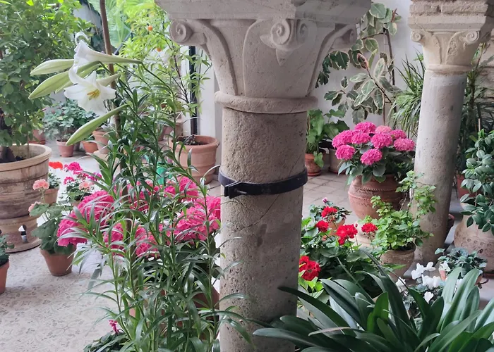 El patio de Regina
