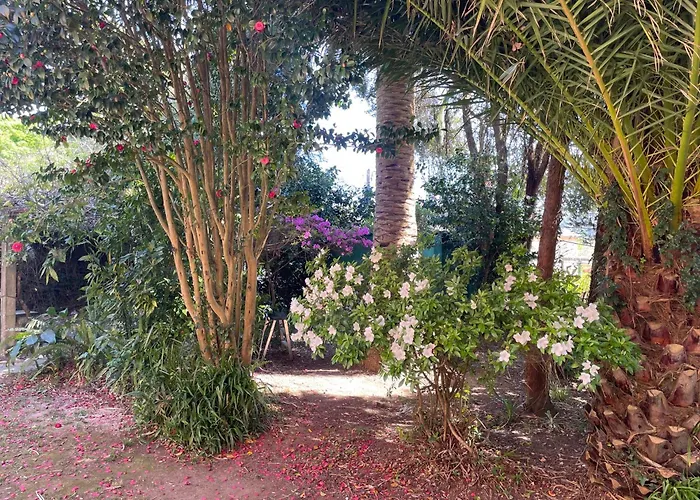 Casa Do Bosque