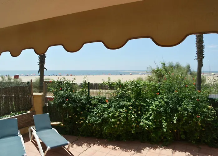 Alcaudón PLUS By Ĥ - Playa IACLB10P40