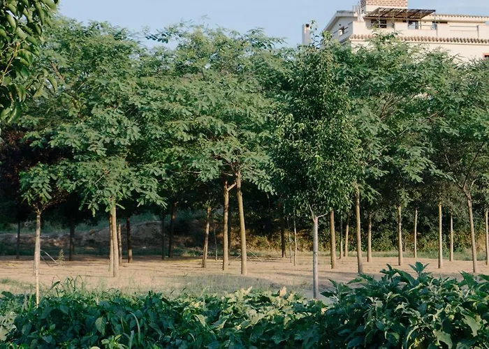 Rural Mas De L'Illa