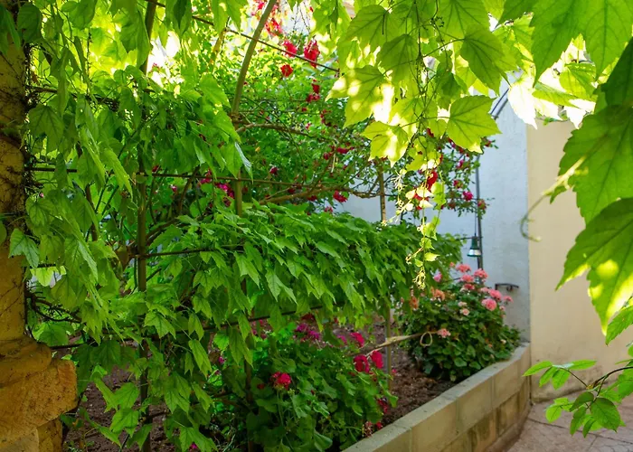 Hostal Los Rosales