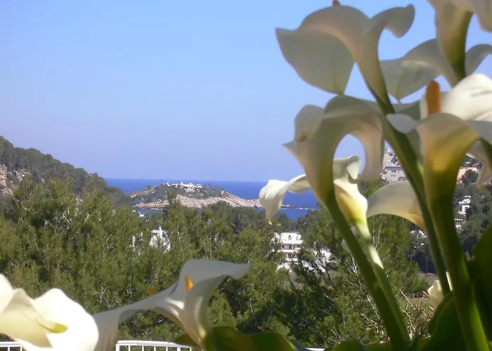 Hotel Rural Can Maries Port de Sant Miguel, Spanje