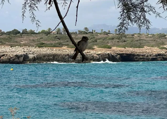 Cala Morlanda
