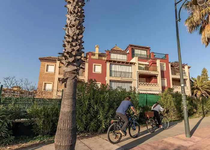 Alcaudón PLUS By Ĥ - Playa IACLB10P40