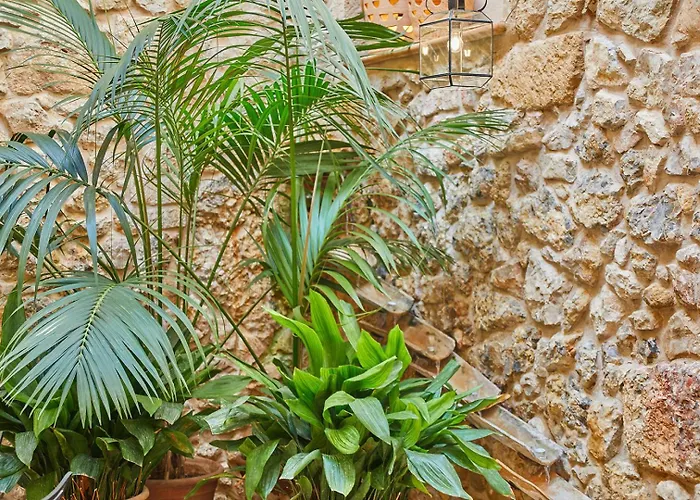 Cas Comte Suites & Spa - Adults Only Lloseta, España