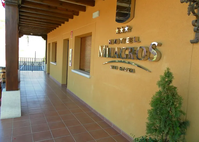 Hotel Milagros Rio Riaza, España