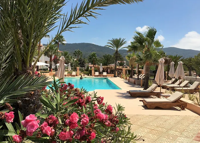 Petunia Ibiza (Adults Only)