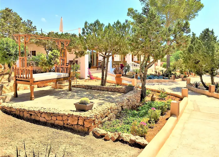Petunia Ibiza (Adults Only)
