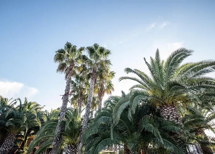 Camping Estival Vendrell Platja Coma-ruga, Spagna