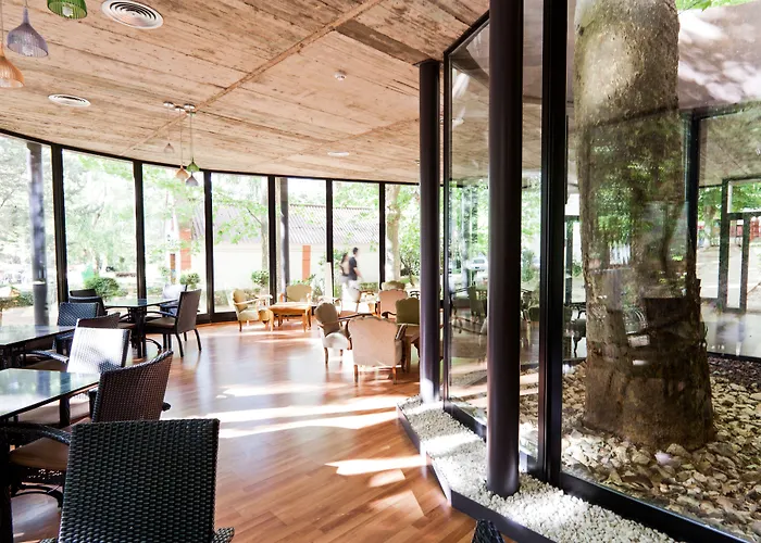 Hotel Balneario Seron
