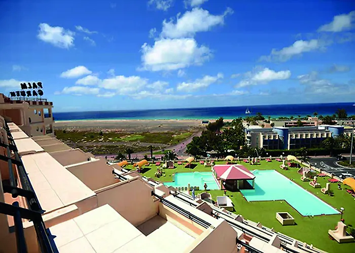 Palm Garden
