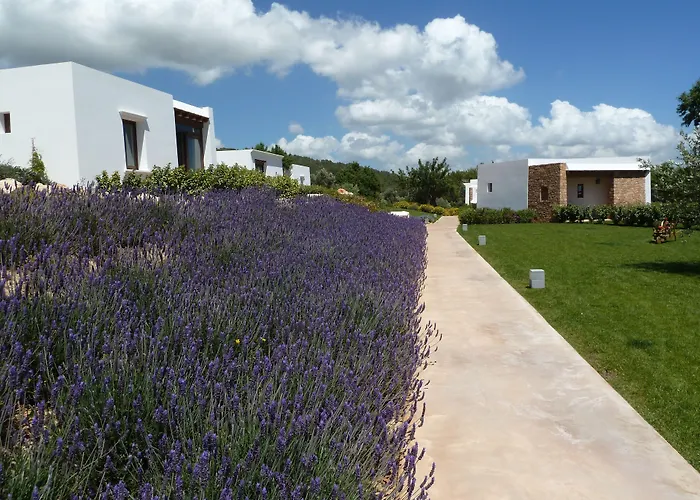Casa Maca Hotel Ibiza-stad, Spanje