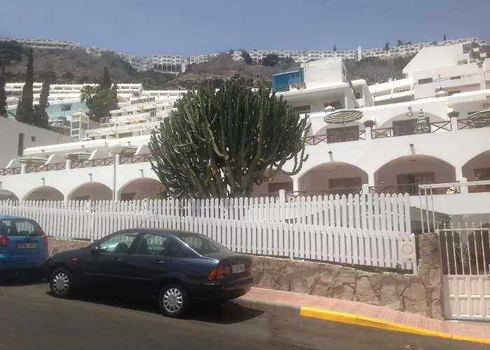 eó Corona Cedral