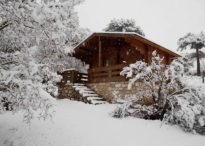 El Llano De Los Conejos Serranía De Cuenca
